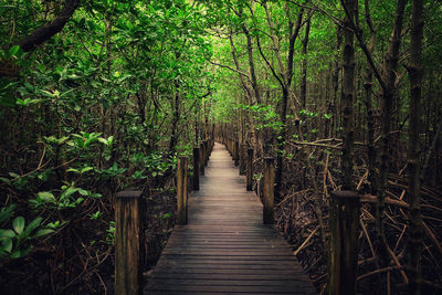 View of wooden footbridge in forest