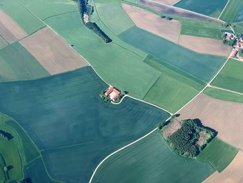 High angle view of people on agricultural field