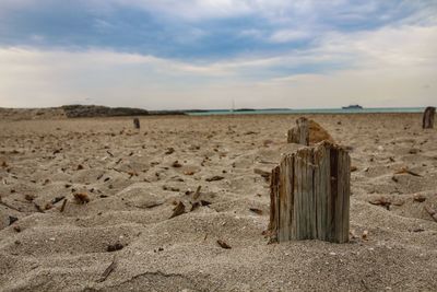 Wooden posts on beach against sky