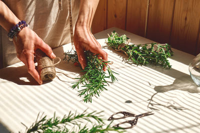 Alternative medicine. herbalist woman holding in her hands a bunch of scented rosemary.