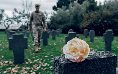 View of person standing on rock at cemetery