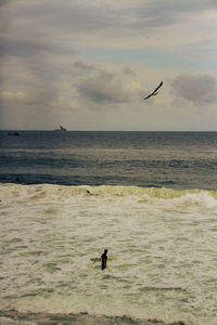 Seagulls flying over sea against sky during sunset