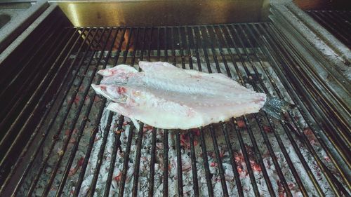 Close-up of fish on barbecue grill