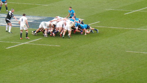 People on grassy field