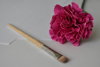 High angle view of pink flower on table