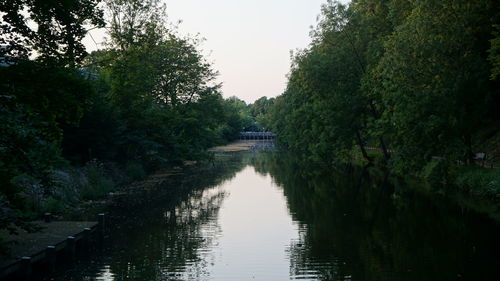 Scenic view of river amidst trees against sky