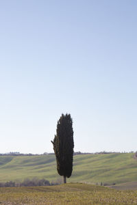 Hay bales on field against clear sky