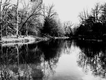 Reflection of trees in lake