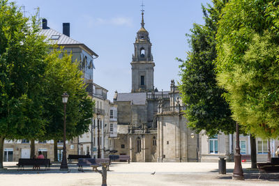 Trees and buildings against sky