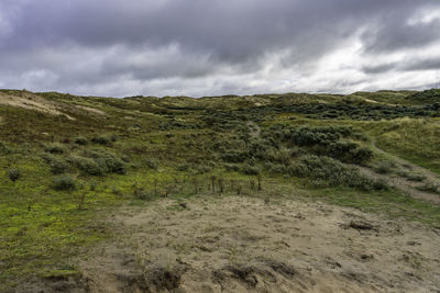 Dunes nature reserve egmond - scenic view of landscape against sky