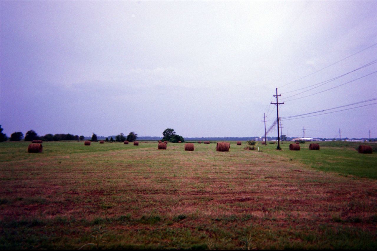 VIEW OF RURAL LANDSCAPE