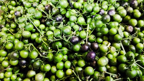 Full frame shot of vegetables for sale in market