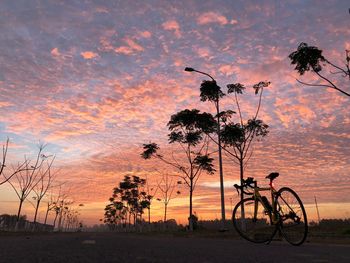 Silhouette palm trees against orange sky