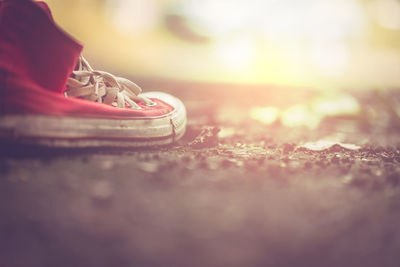 Close-up of canvas shoe on land