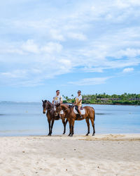 horse riding on