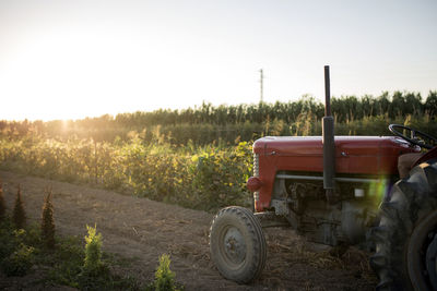 View of agricultural field against clear sky