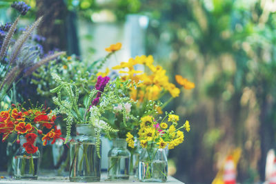 Close-up of yellow flowering plant in vase