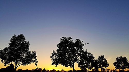 Low angle view of silhouette trees against sky during sunset