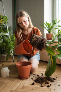 Woman holds in hand plant with roots in soil which took out from pot