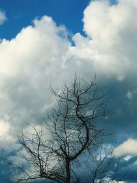Low angle view of bare tree against sky