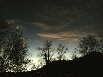 Low angle view of bare trees against sky