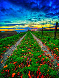 Scenic view of street amidst field against sky