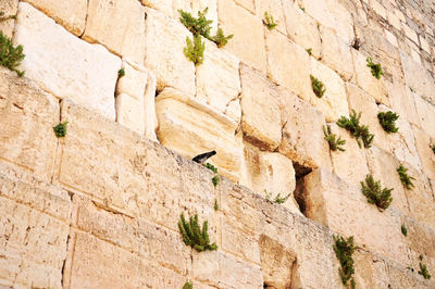 The partial of west wall in jerusalem, israel