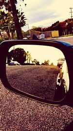 Reflection of trees in side-view mirror