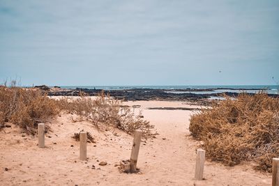 Scenic view of beach against sky