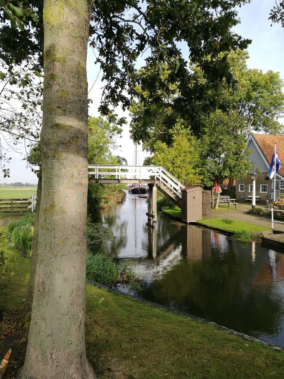 water, tree, built structure, canal, architecture, building exterior, reflection, pond, growth, standing water, tree trunk, plant, bridge, day, narrow, flowing, tranquil scene, outdoors, flowing water, tranquility, pedestrian walkway, park