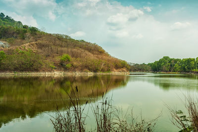 Scenic view of lake by trees against sky