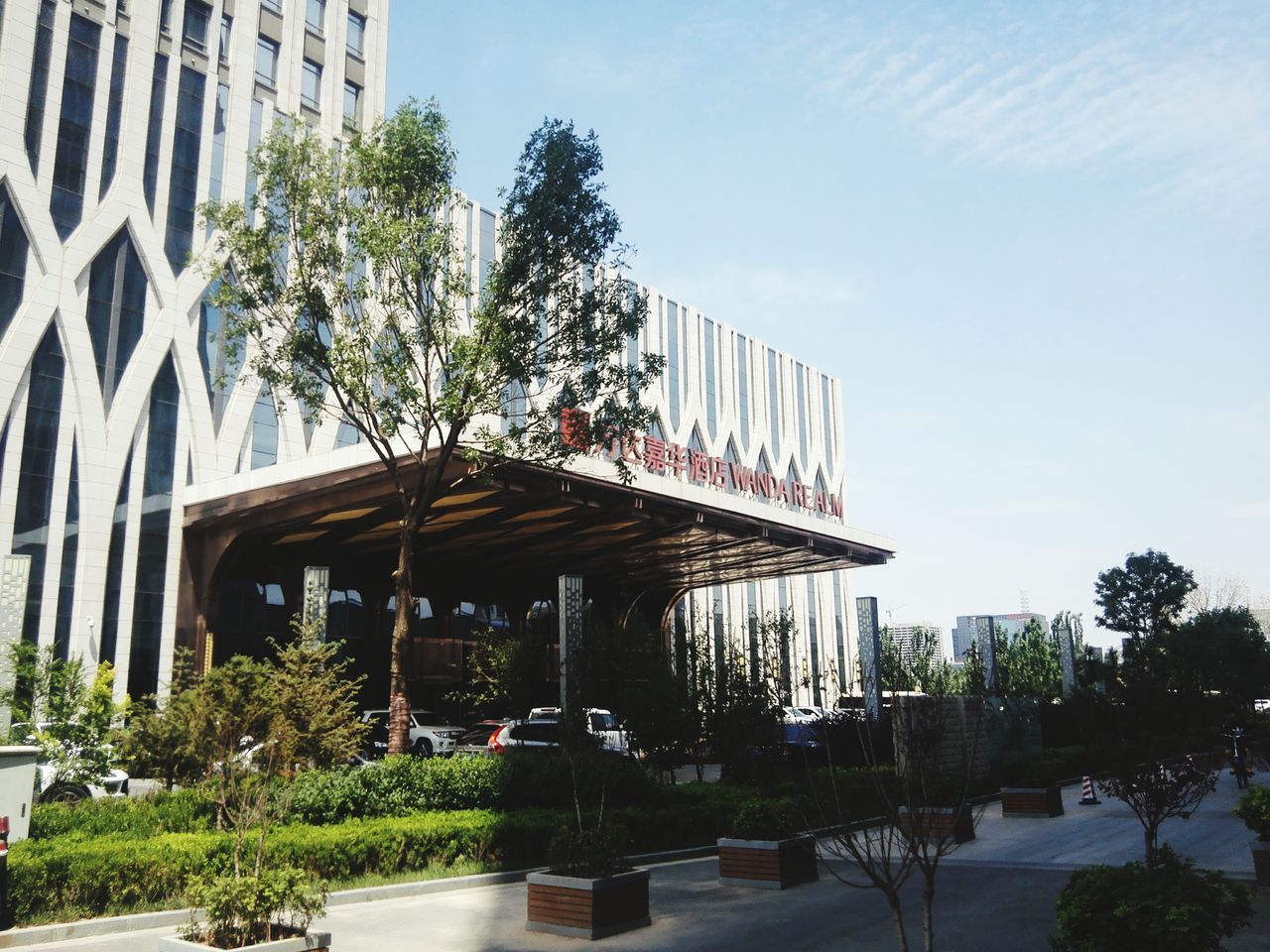 architecture, built structure, building exterior, tree, city, low angle view, bridge - man made structure, sky, building, connection, day, growth, clear sky, outdoors, transportation, incidental people, modern, sunlight, no people, architectural column