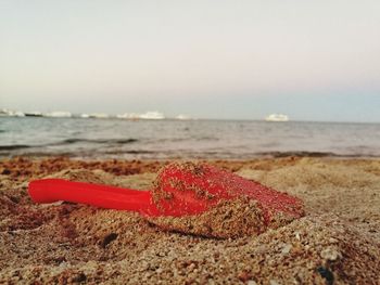 Close-up of red sand on beach against sky