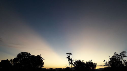 Low angle view of silhouette trees against sky during sunset