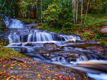 Waterfall in forest