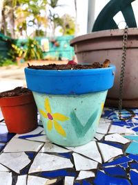 Close-up of potted plant on table
