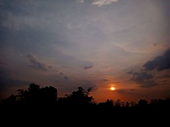 Silhouette trees against sky during sunset