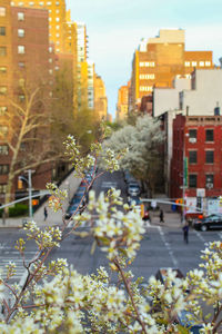 View of buildings in city