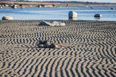 High angle view of sandy beach