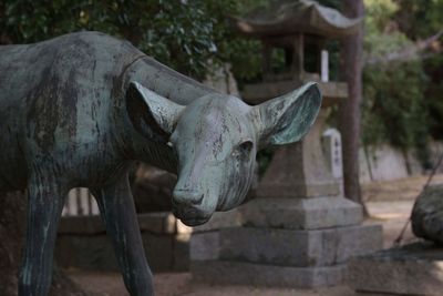 Close-up of horse statue