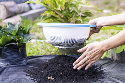 Cropped hand of woman holding potted plant