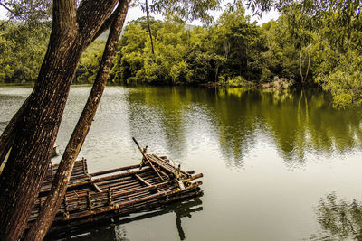 Scenic view of lake by trees