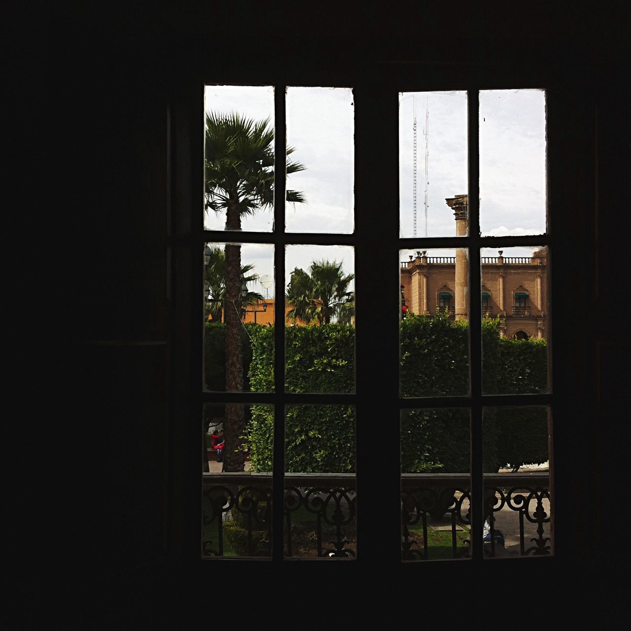 window, indoors, glass - material, tree, transparent, house, architecture, built structure, growth, home interior, plant, day, looking through window, potted plant, window sill, building exterior, closed, glass, sunlight, no people