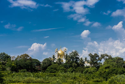 Low angle view of trees and building against sky