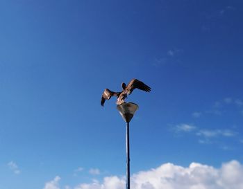 Low angle view of seagull flying against blue sky