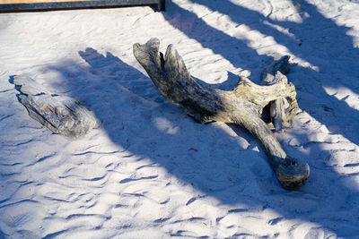 High angle view of footprints on snow covered land