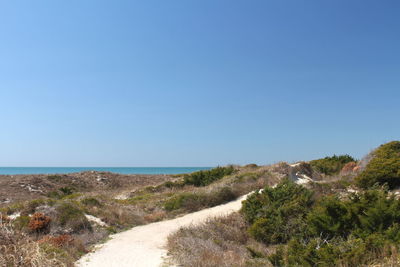 Scenic view of sea against clear blue sky