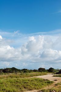 Scenic view of grassy field against cloudy sky