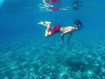 Jellyfish in sea