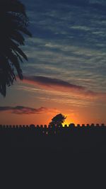 Silhouette trees on field against sky at sunset